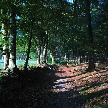 Guest house Guesthouse Hoog Soeren *