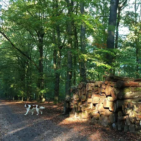 Guesthouse Hoog Soeren *